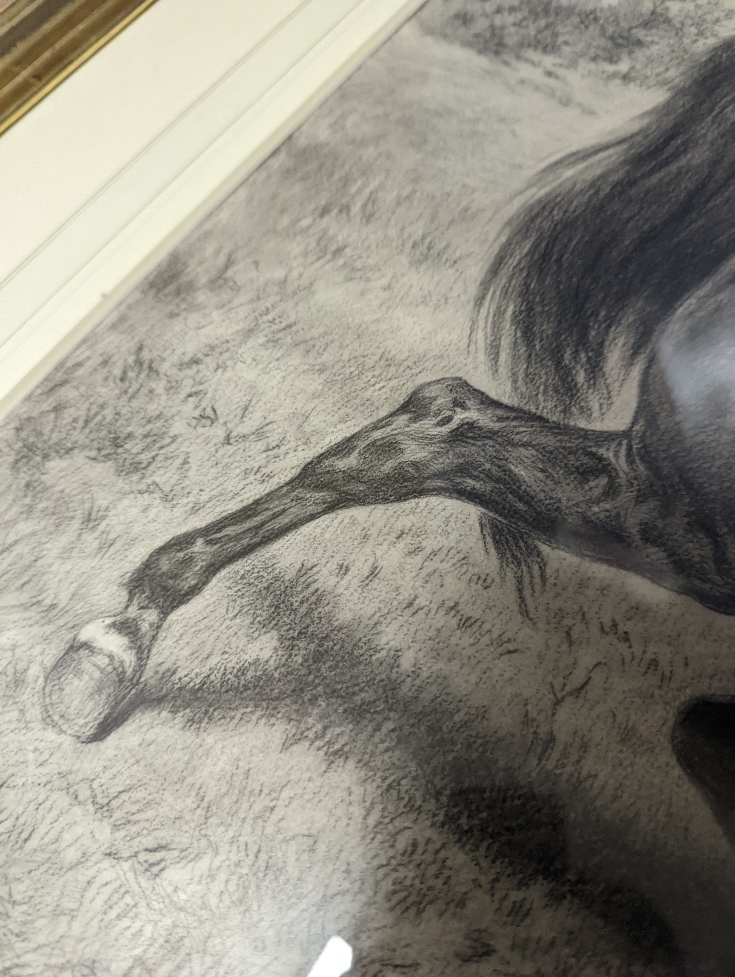 Rosa Bonheur (1822-1899), charcoal and chalk, Stallion and mare, signed and dated 1896, 52 x 84cm